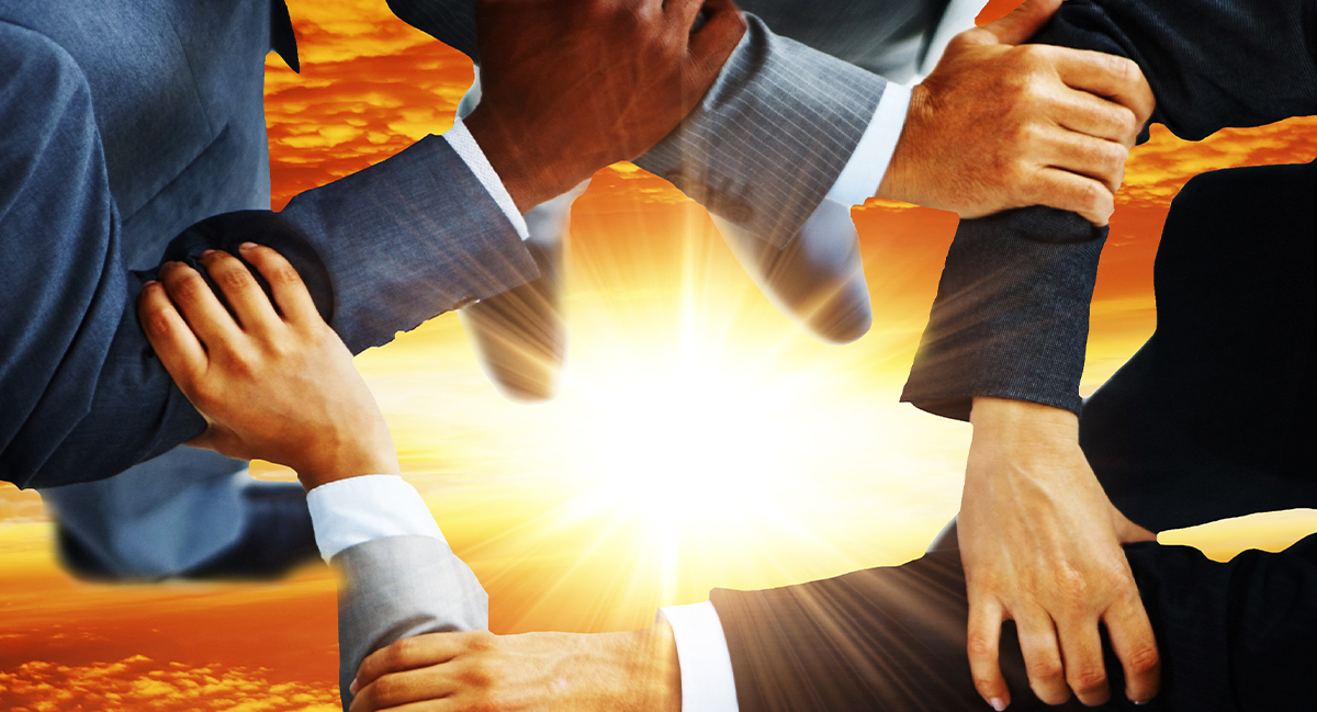 Professional technical team